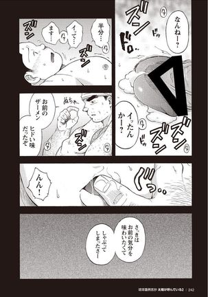 Taiyou ga Yonde Iru 2 Page #235