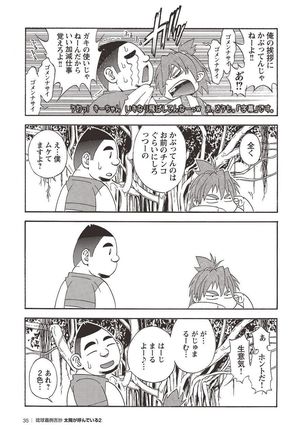 Taiyou ga Yonde Iru 2 Page #34