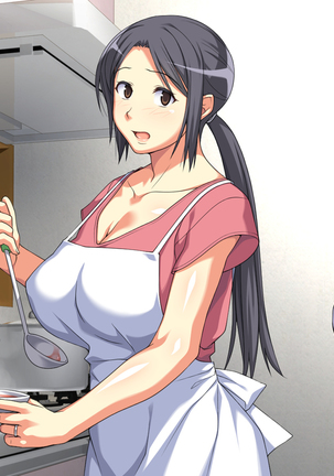 夫に一途な妻の 裏風俗アルバイト日記 Page #483
