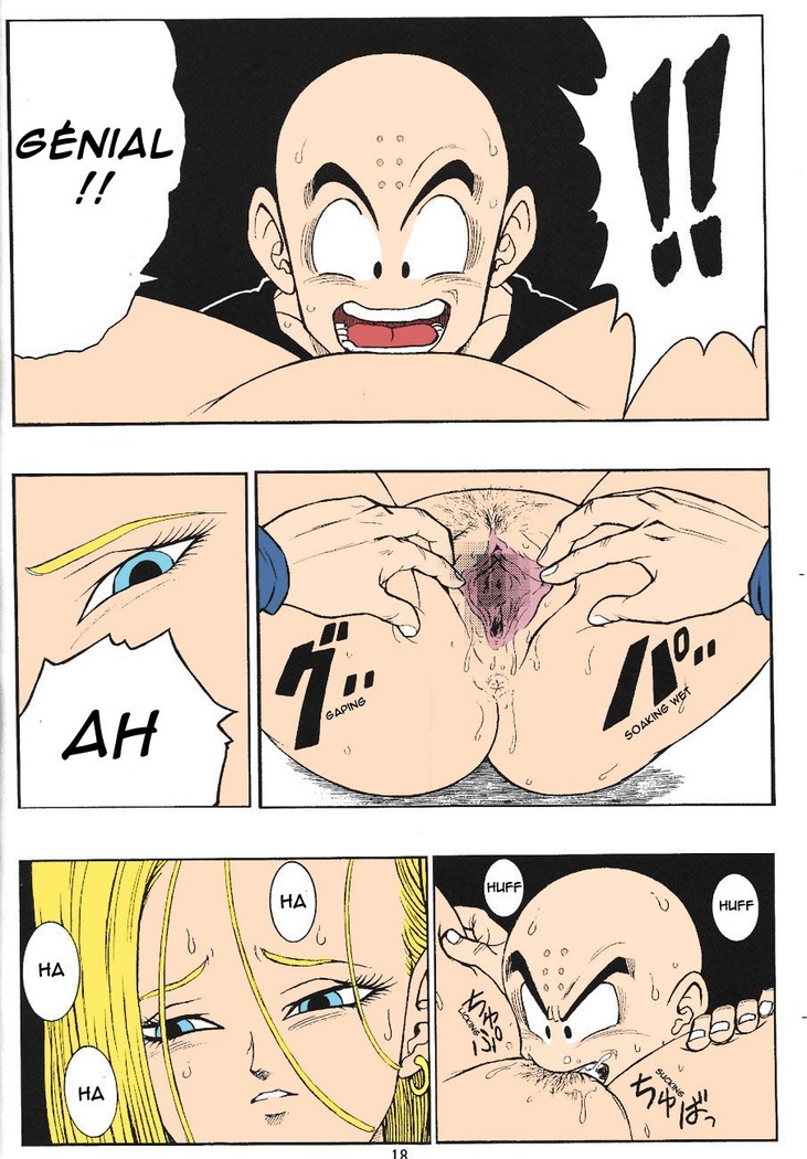 DragonBall H Maki San