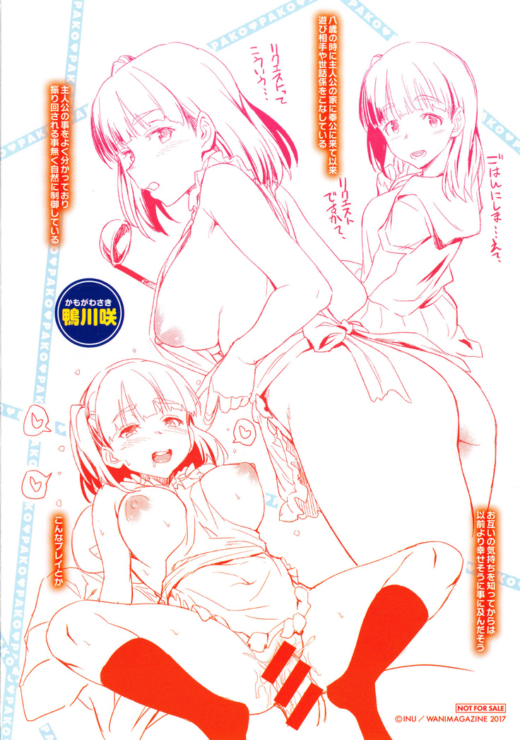 狂抽猛插 !パコラッシュ！ + とらのあなリーフレット