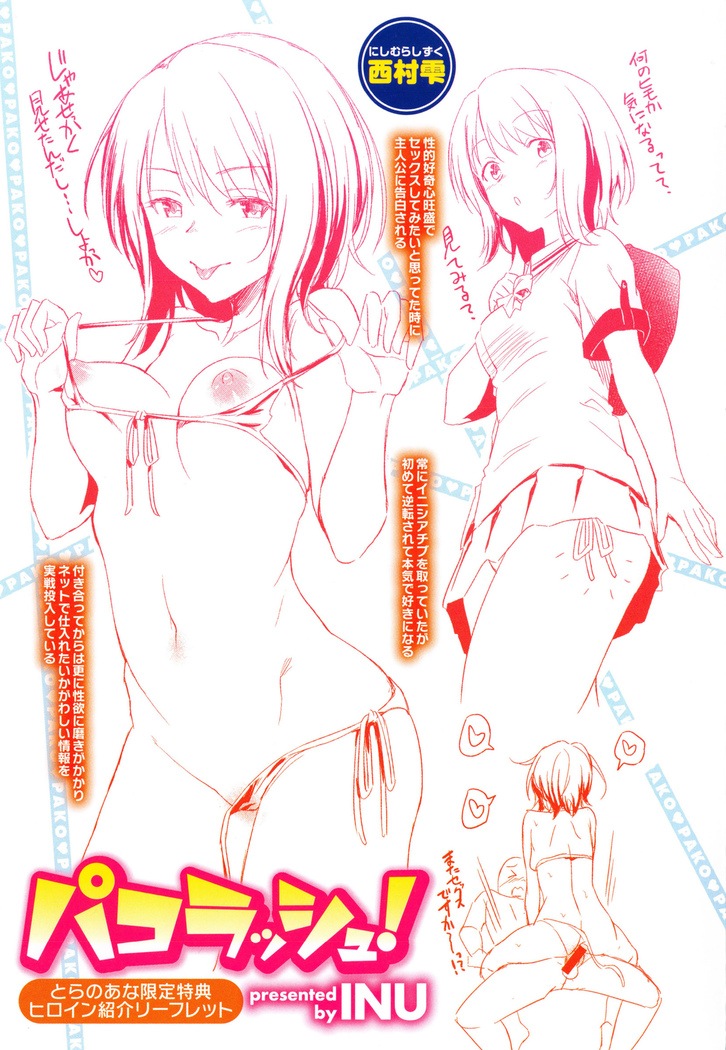 狂抽猛插 !パコラッシュ！ + とらのあなリーフレット