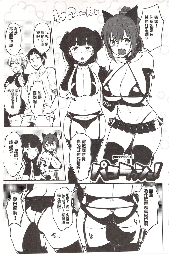 狂抽猛插 !パコラッシュ！ + とらのあなリーフレット