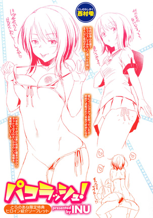 狂抽猛插 !パコラッシュ！ + とらのあなリーフレット Page #233