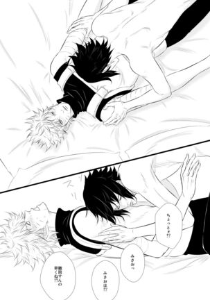 DUMMY FAKE ROLLERS - Page 20