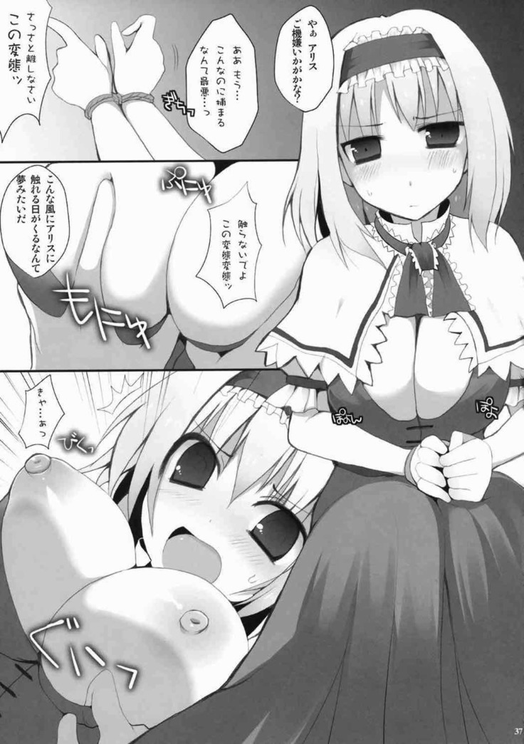 Alice Ijiri Goudoushi Nanairo Ayatsuri Ningyou