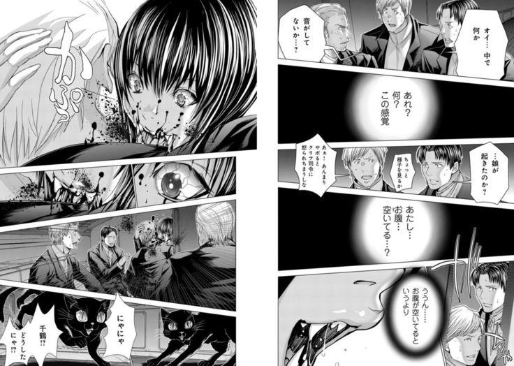 Holy Knight ~Junketsu to Ai no Hazama de~ Vol. 9