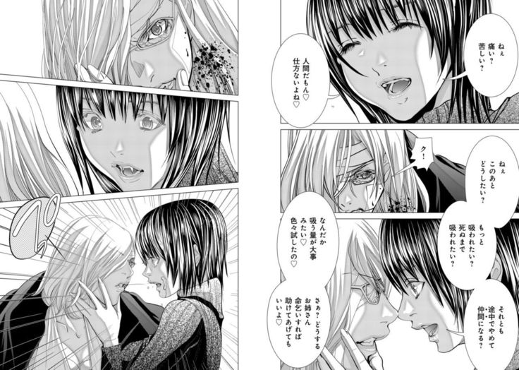 Holy Knight ~Junketsu to Ai no Hazama de~ Vol. 9