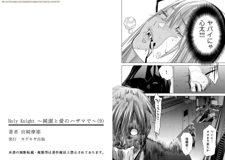 Holy Knight ~Junketsu to Ai no Hazama de~ Vol. 9