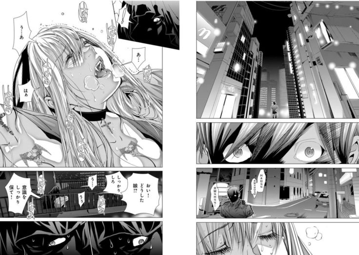 Holy Knight ~Junketsu to Ai no Hazama de~ Vol. 9