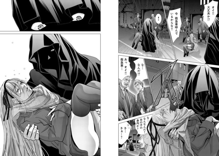 Holy Knight ~Junketsu to Ai no Hazama de~ Vol. 9