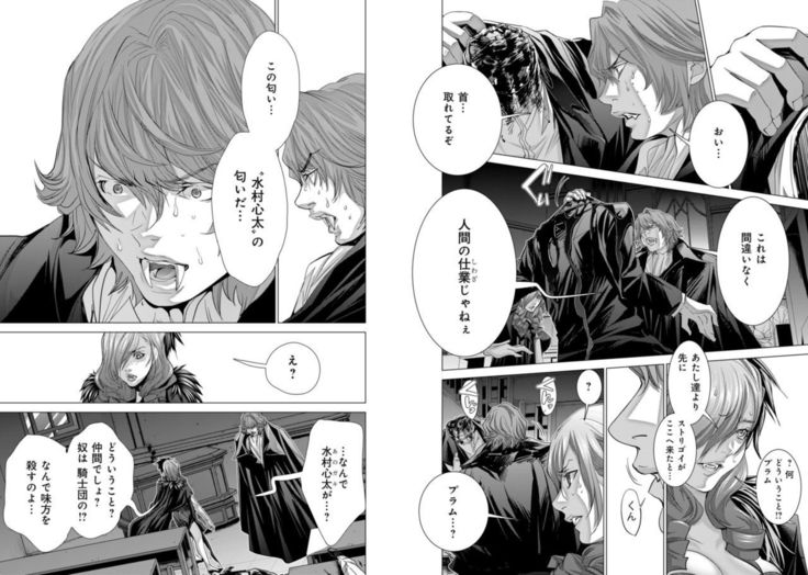 Holy Knight ~Junketsu to Ai no Hazama de~ Vol. 9
