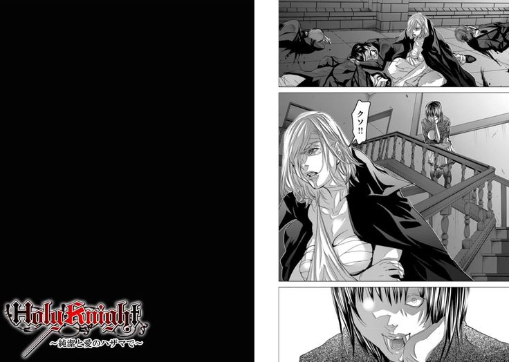 Holy Knight ~Junketsu to Ai no Hazama de~ Vol. 9