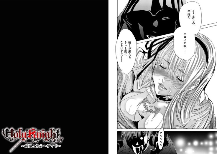 Holy Knight ~Junketsu to Ai no Hazama de~ Vol. 9