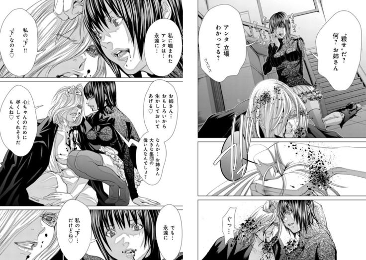 Holy Knight ~Junketsu to Ai no Hazama de~ Vol. 9