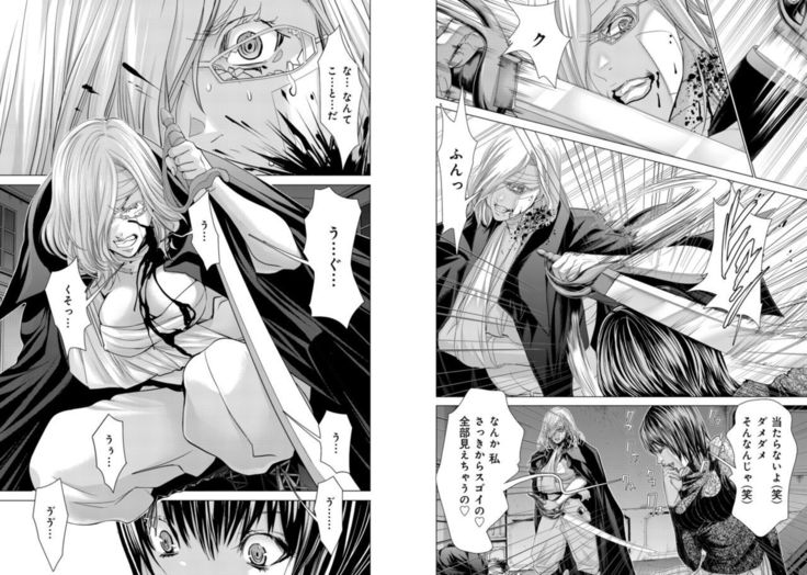Holy Knight ~Junketsu to Ai no Hazama de~ Vol. 9