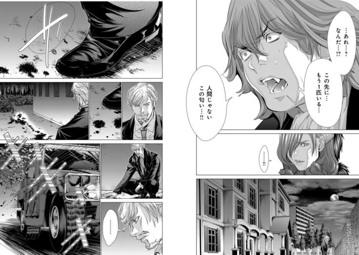 Holy Knight ~Junketsu to Ai no Hazama de~ Vol. 9