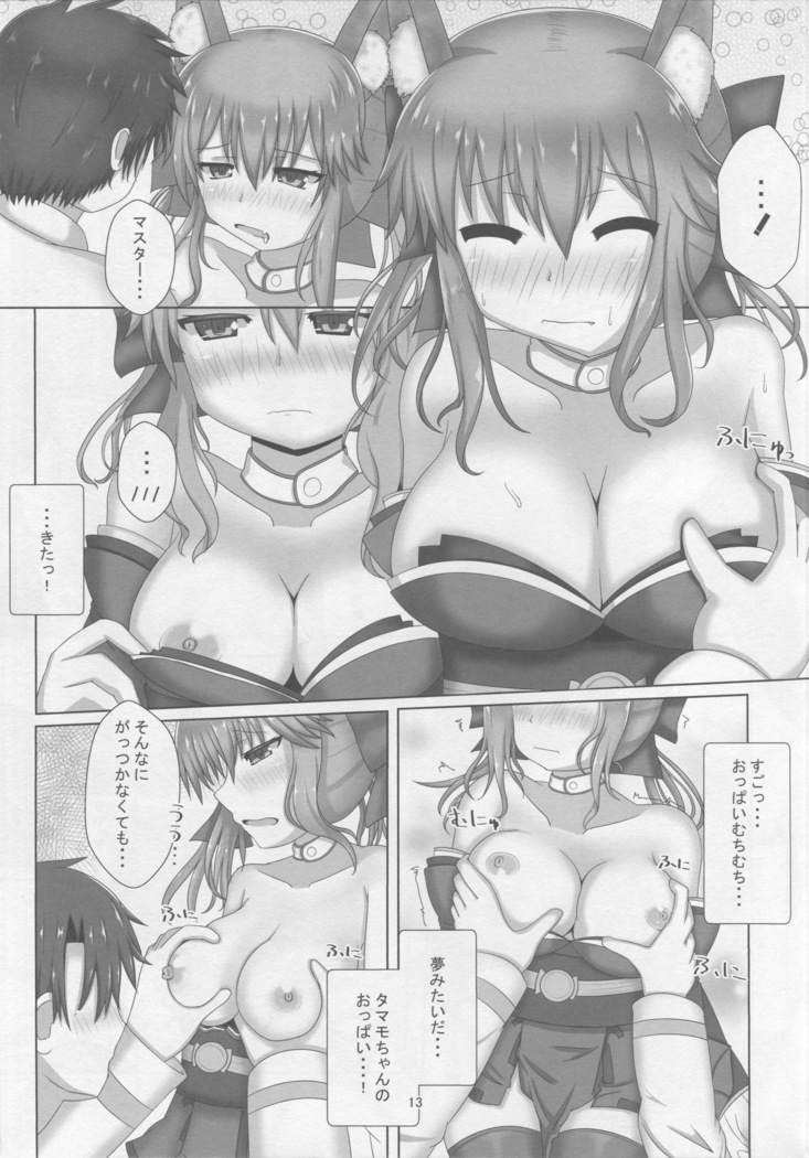 Tamamo-chan Sukisuki Master