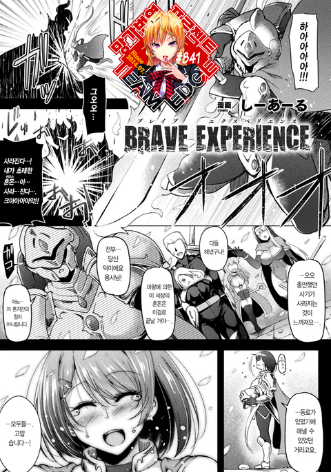 BRAVE EXPERIENCE