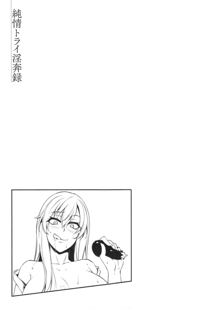 Junjou Try Honpouroku