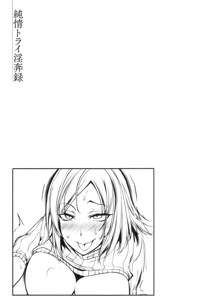 Junjou Try Honpouroku