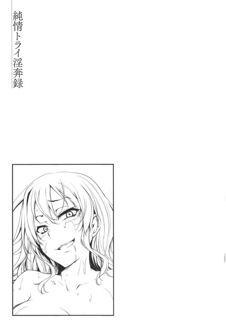 Junjou Try Honpouroku