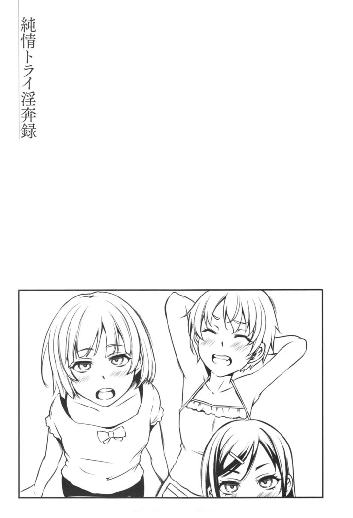 Junjou Try Honpouroku