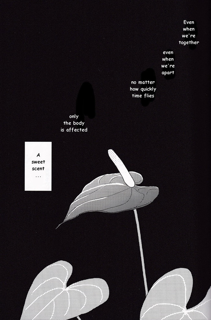 NOCTIFLOROUS