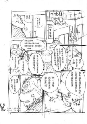 Image 4007999