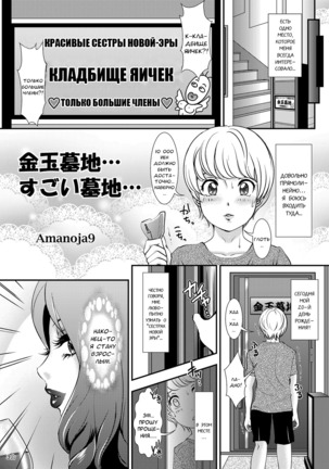 Image 9004036