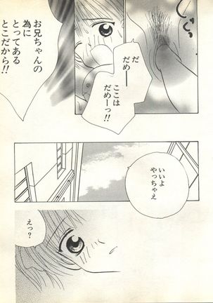 Pai;kuu 1999 October Vol. 22 Page #229