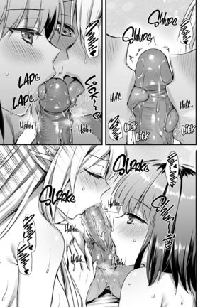 Isekai Elf Hatsujou no Magan 4 ~Seishou Netori Hen~ | Eyeing the Hot Elf in Another World 4 Page #48