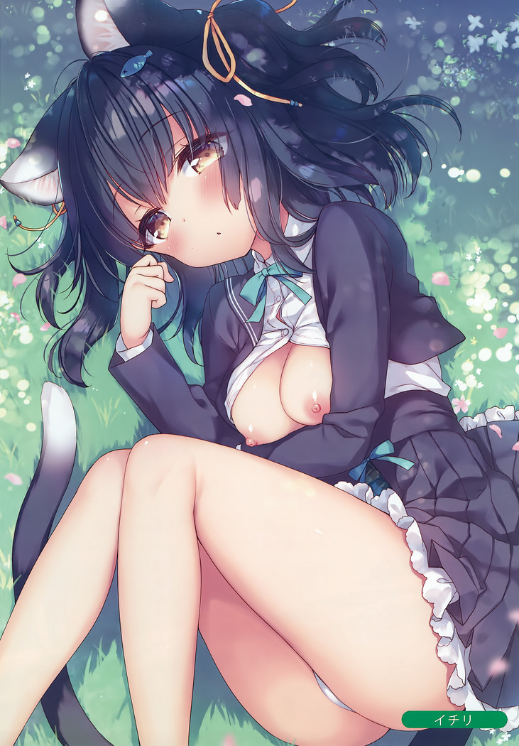 Melonbooks Sexy Girls Collection 2020 spring