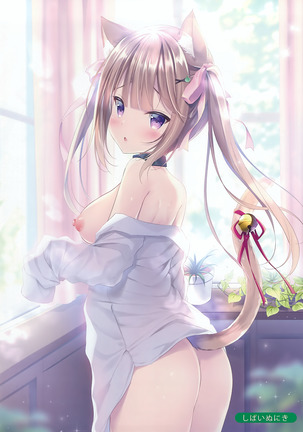 Melonbooks Sexy Girls Collection 2020 spring Page #23