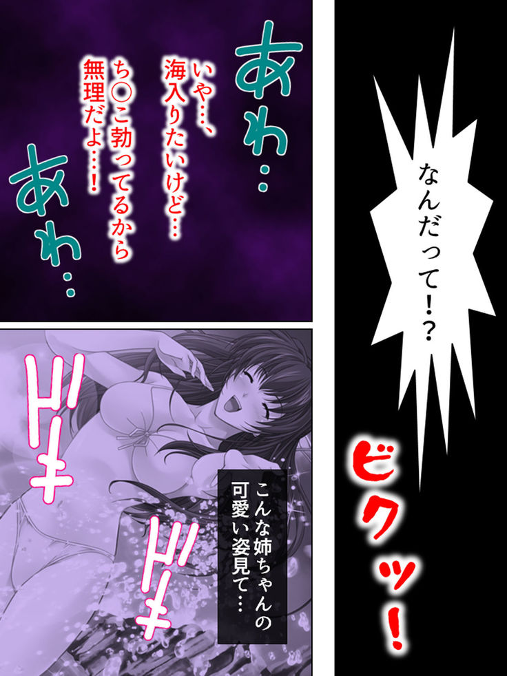 Nee-chan wa Boku no Kokan no Sewagakari ～Konna Seikatsu, Yamerarenai!～