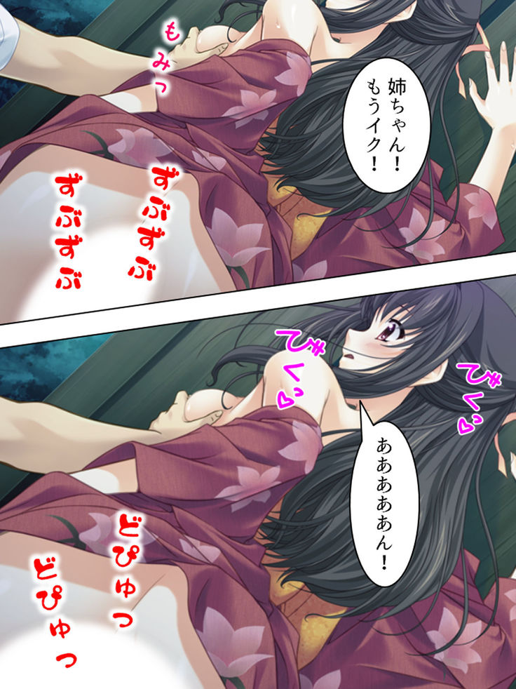 Nee-chan wa Boku no Kokan no Sewagakari ～Konna Seikatsu, Yamerarenai!～