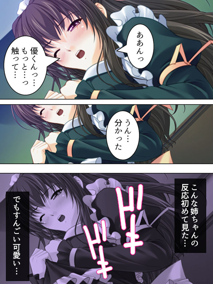 Nee-chan wa Boku no Kokan no Sewagakari ～Konna Seikatsu, Yamerarenai!～