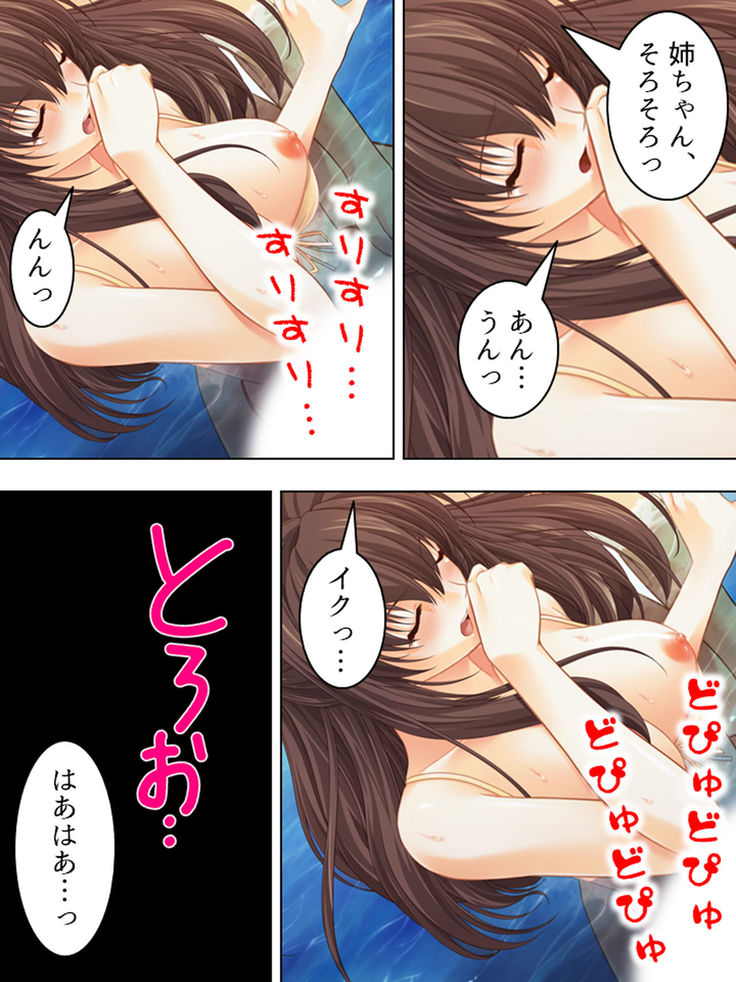 Nee-chan wa Boku no Kokan no Sewagakari ～Konna Seikatsu, Yamerarenai!～