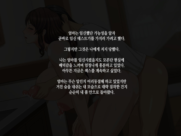 Kaa-san to Kozukuri Koushou | 엄마와 아이 만들기 협상