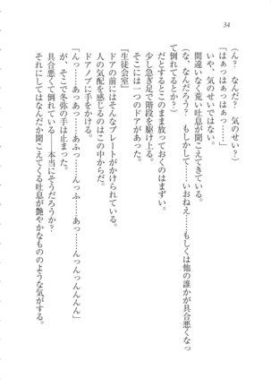 Kanojo wa Seido Kaichou！ Page #35