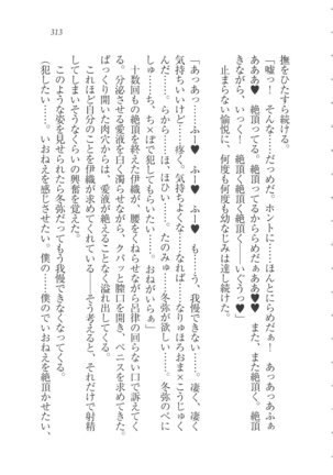 Kanojo wa Seido Kaichou！ Page #314