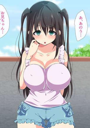 爆乳えろえろ無知姪っ娘に甘やかされてハメ狂った話 Page #14