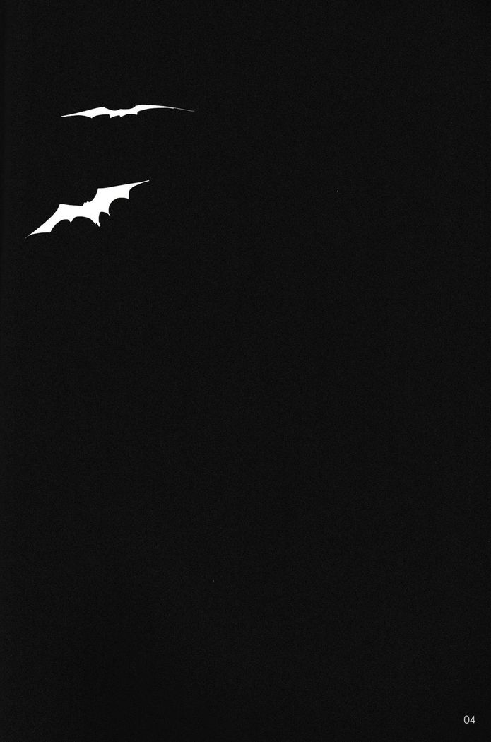 In The Dark -durarara doujinshi-
