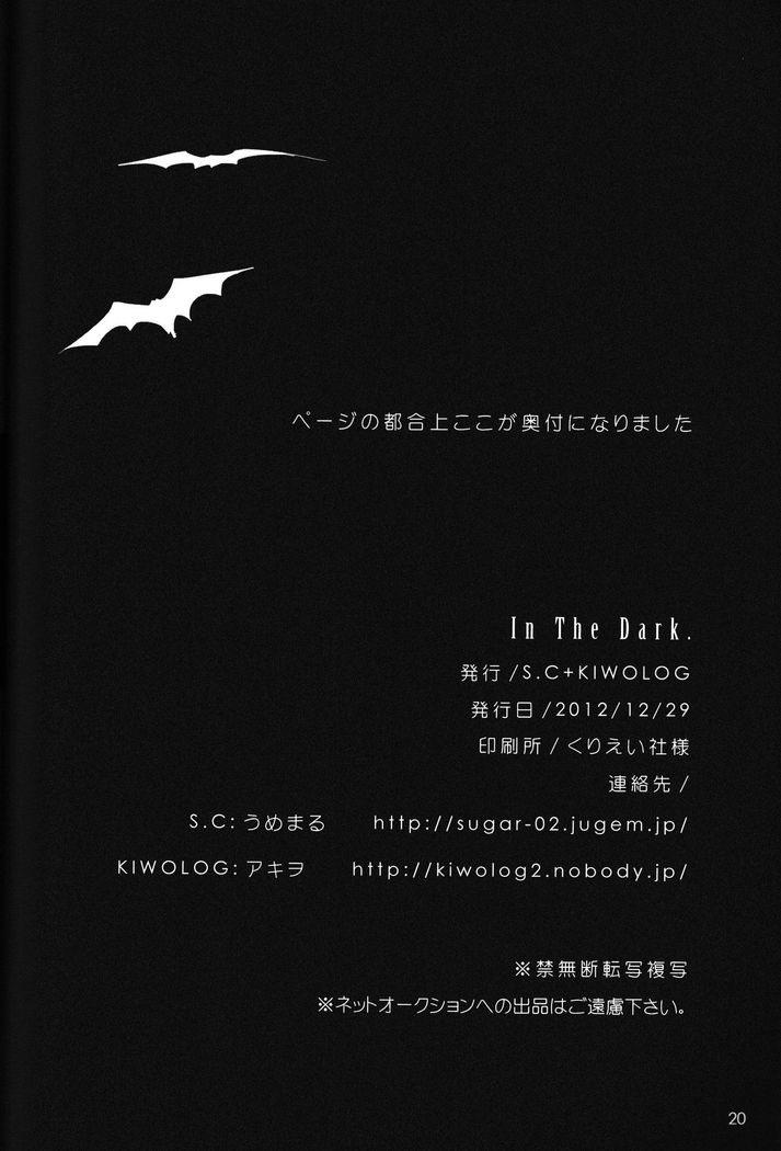 In The Dark -durarara doujinshi-