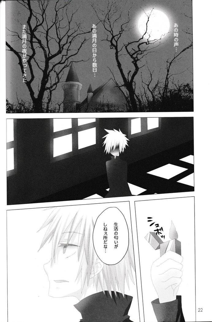 In The Dark -durarara doujinshi-