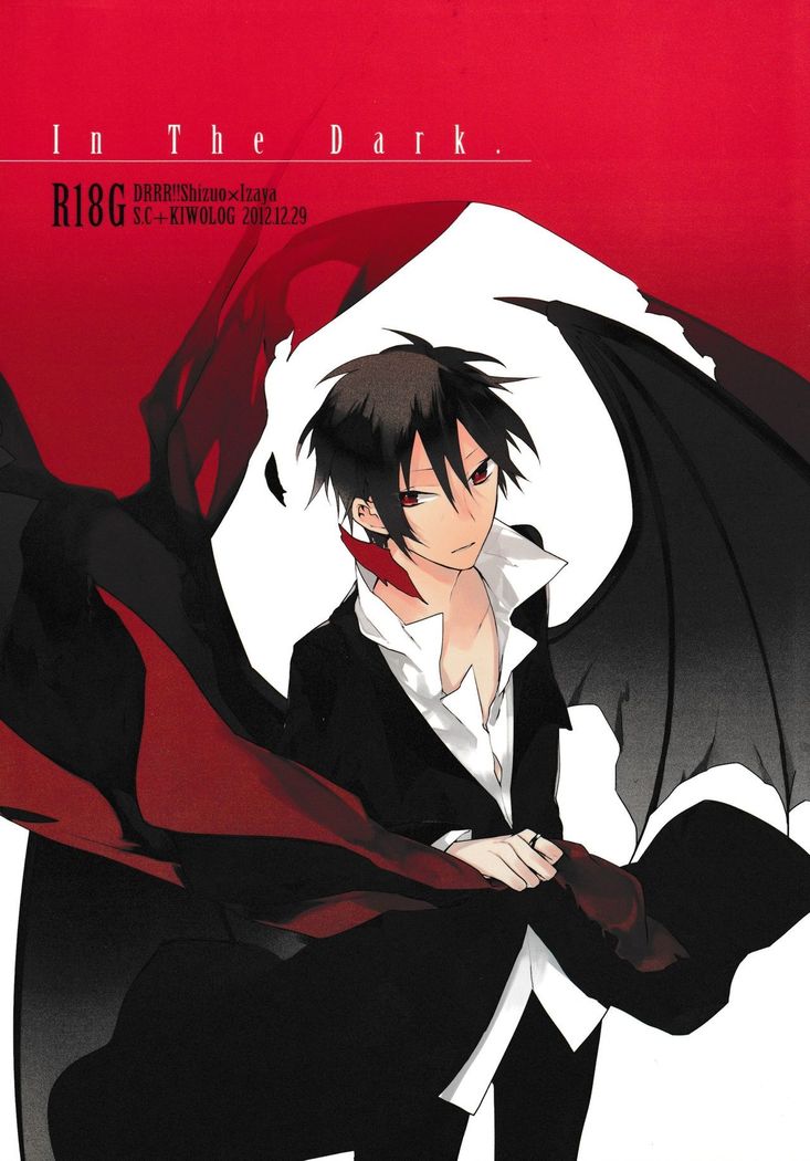 In The Dark -durarara doujinshi-