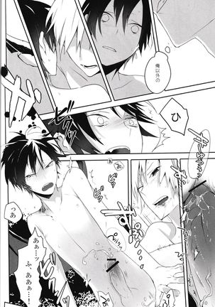 In The Dark -durarara doujinshi-