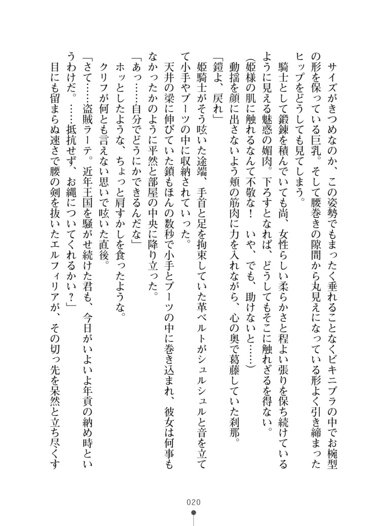 Cool Maso! Fantasy~ Shitsukete Himekishi Sama