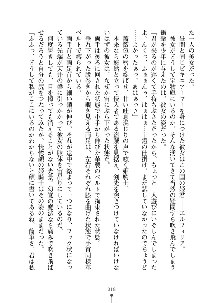 Cool Maso! Fantasy~ Shitsukete Himekishi Sama