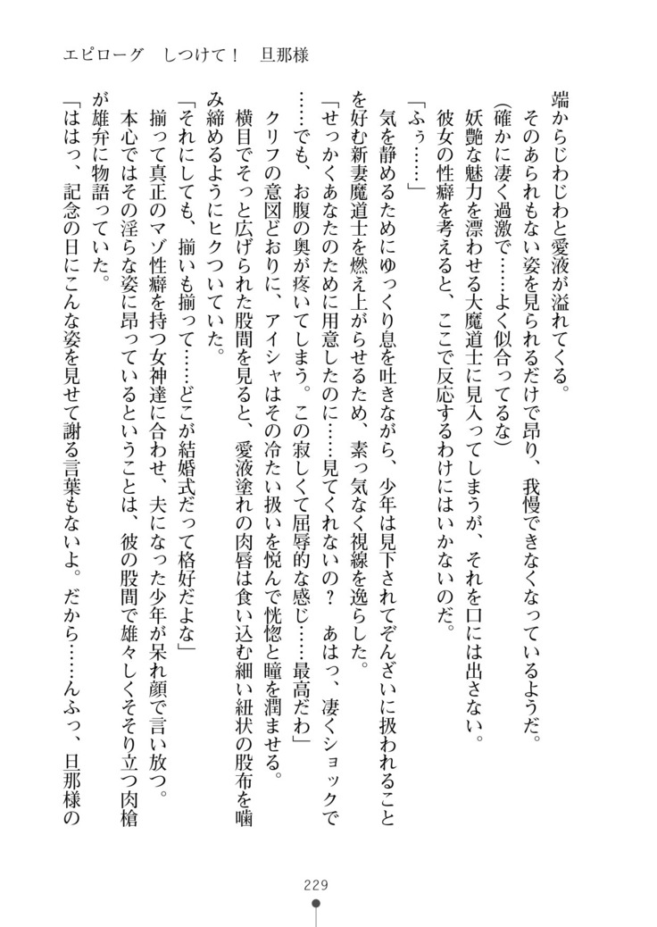 Cool Maso! Fantasy~ Shitsukete Himekishi Sama